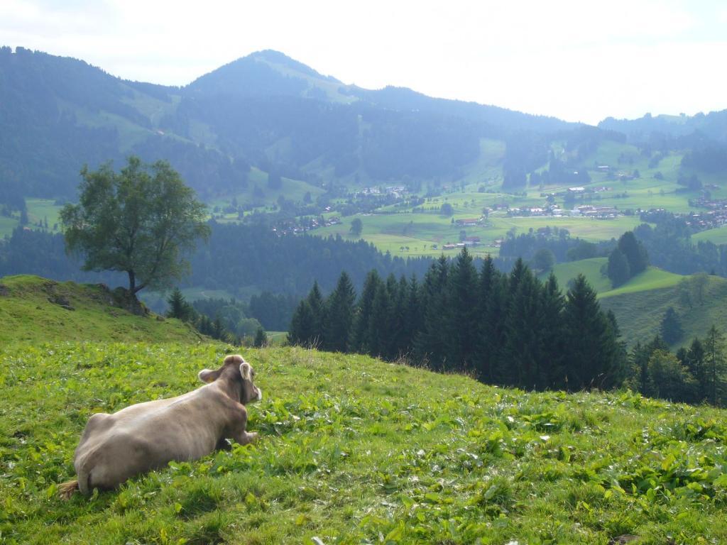Hotel Allgaeuer Hof Oberstaufen Bagian luar foto